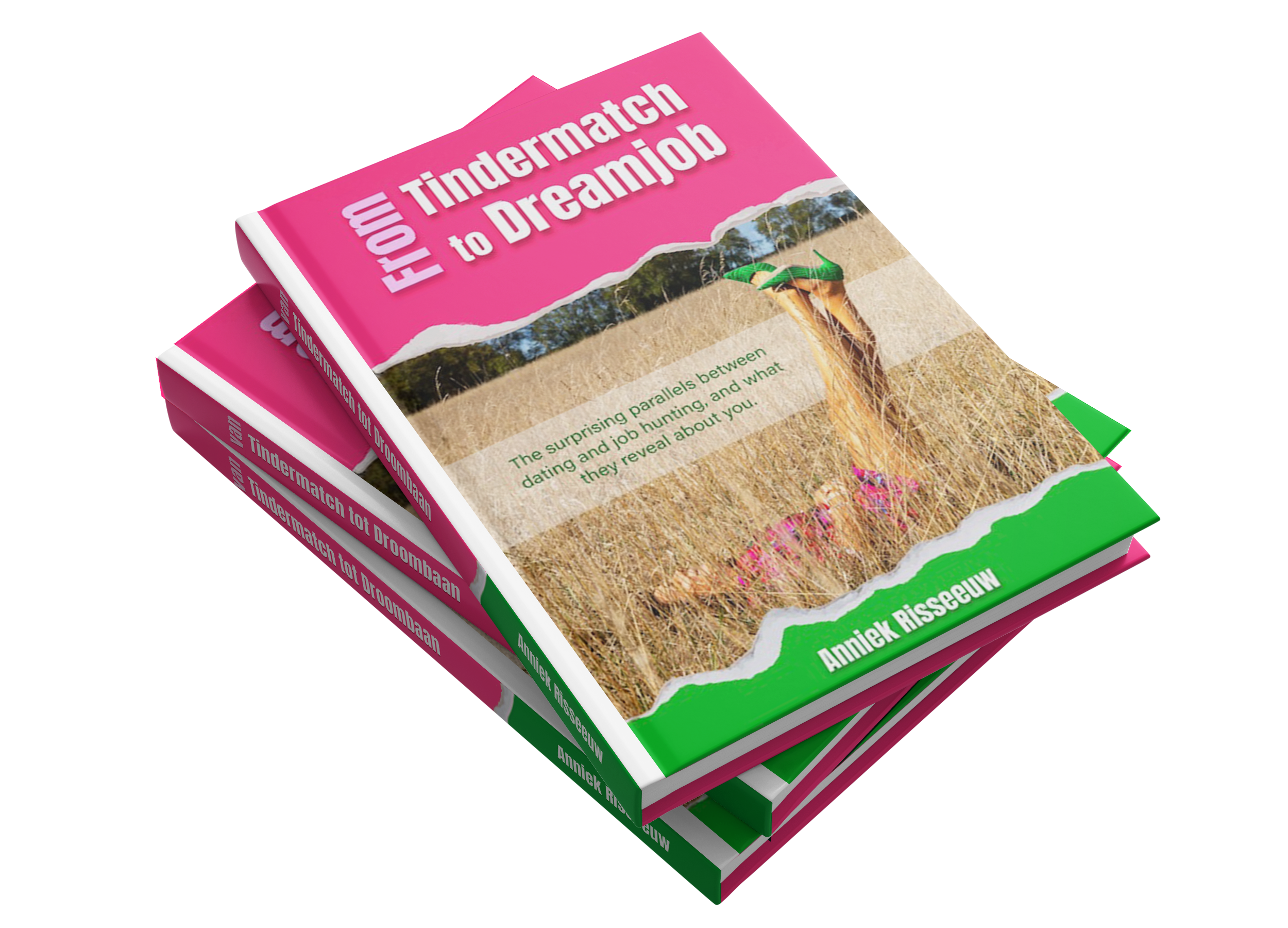 Omslag van het boek ‘Van Tindermatch tot Droombaan’ van jobcoach Anniek Risseeuw, over de verrassende link tussen daten en solliciteren.